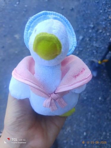 Jemima puddle duck - puddle,