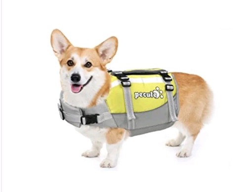 Petcute small life jacket - petcute, for