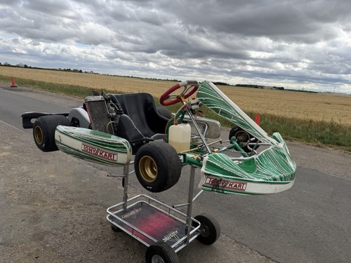 Tony kart rotax 125cc - kart,