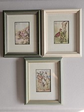 Vintage Flower Fairies Print &
