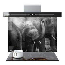 Kitchen Glass Splashback