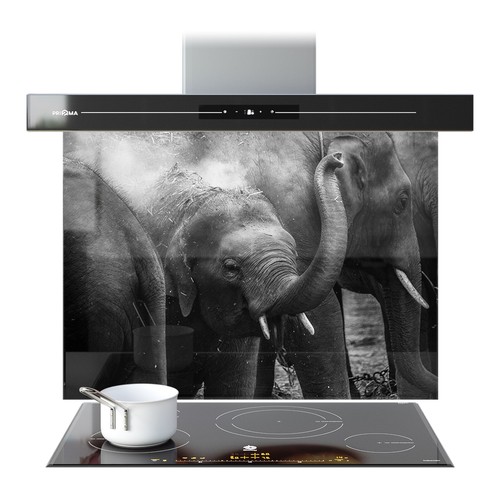 Kitchen glass splashback - kitchen,