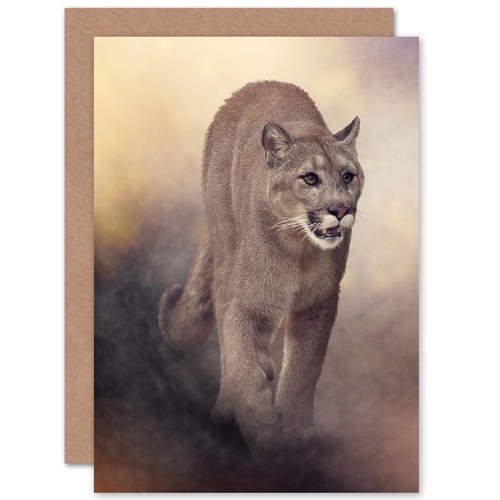 Mountain lion cougar - mountain,