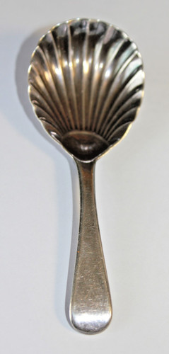 Antique 1810 georgian shell - antique,