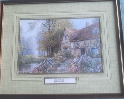 Framed print rose - print,