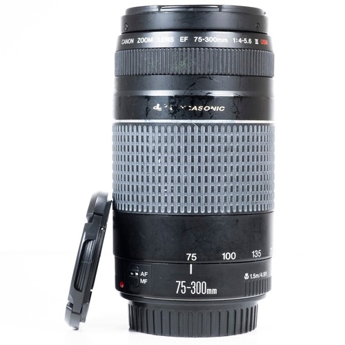 Canon 300mm 5 - f/4.0-5.6, iii