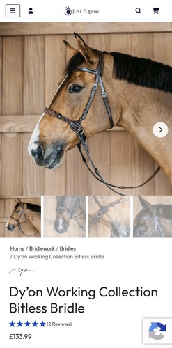 Brown bitless bridle - brown,