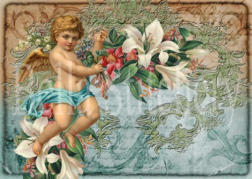 Shabby chic victorian - shabby,