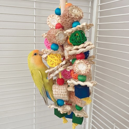 Large parrot chewing toy bird - toy,