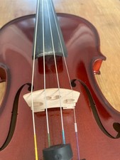 Classic Violin Set 4/4 +