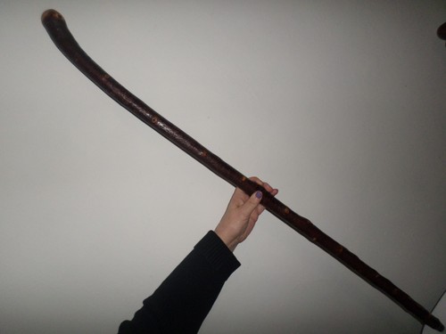 Blackthorn walking stick - walking,