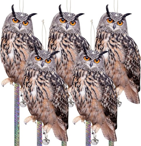 5pcs owl bird - 5pcs,