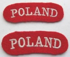 POLISH ARMY BADGES. POLISH