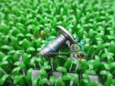 ZRX1200DAEG Chain Cover Bolt