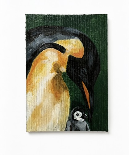 Aceo penguin bird - aceo-,