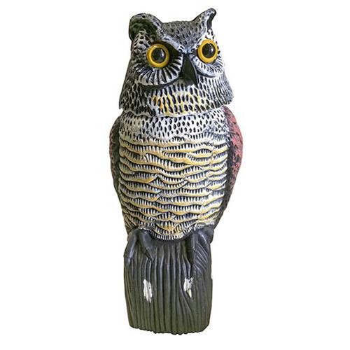 Large realistic owl decoy - large,