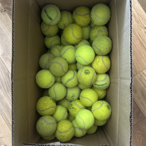 Used tennis balls - 50,