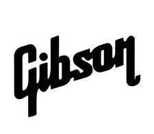 Guitar Headstock decal,sticker