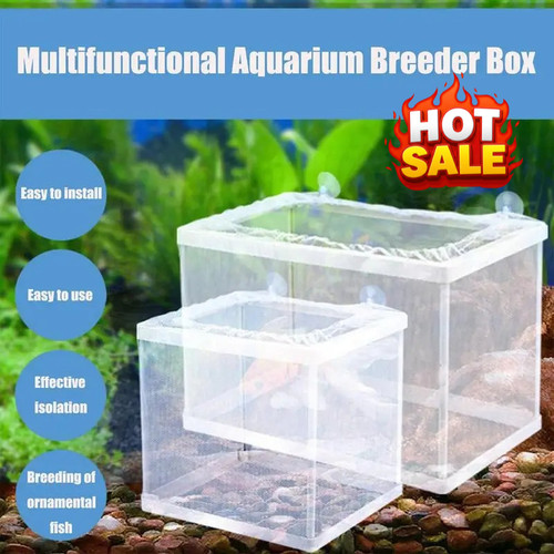 Aquarium fish tank - aquarium,