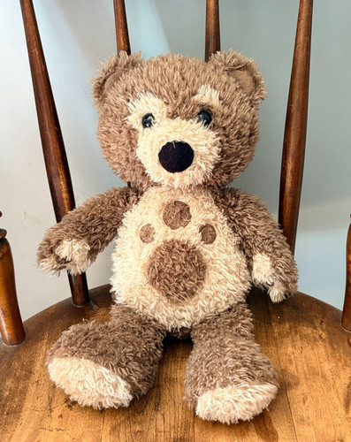 Cbeebie little charley bear - charley,