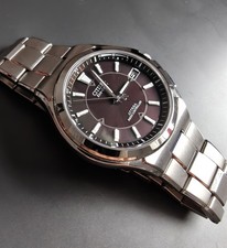 Citizen Attesa Titanium
