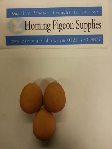 Eggs for birds poultry - eggs,