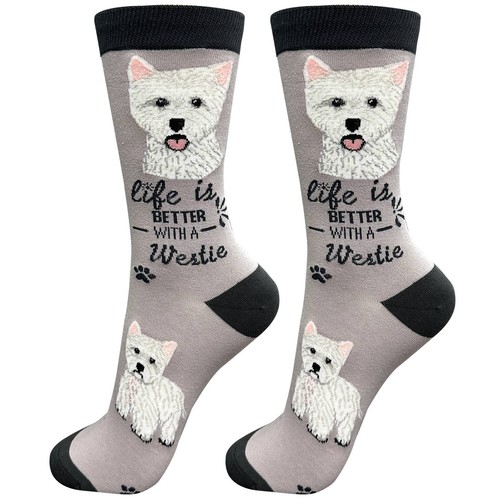 Westie west highland terrier - westie,