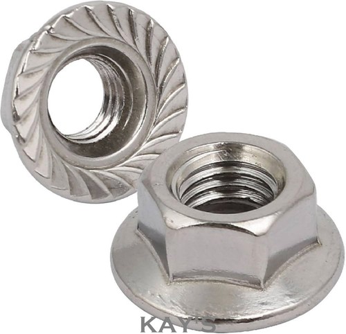 Stainless steel nuts full - stainless,