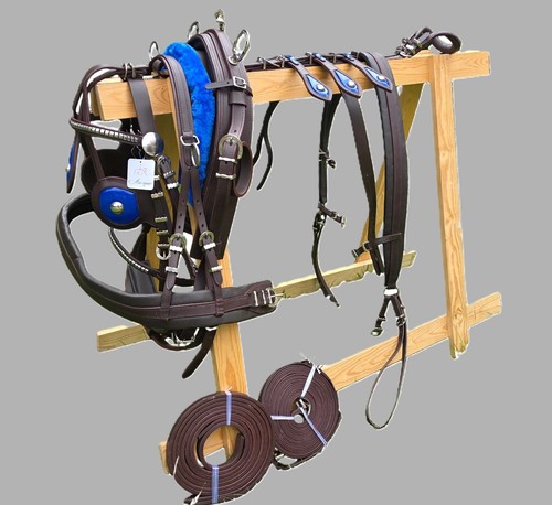 Leather tiedown driving - driving, cart