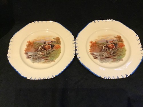 Coronet ware parrot co - coronet,