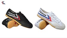 Original Feiyue Shoes (Kung