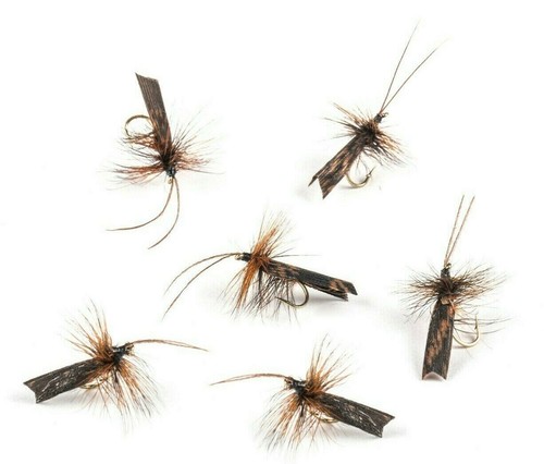 Dark brown roof wing - dark,