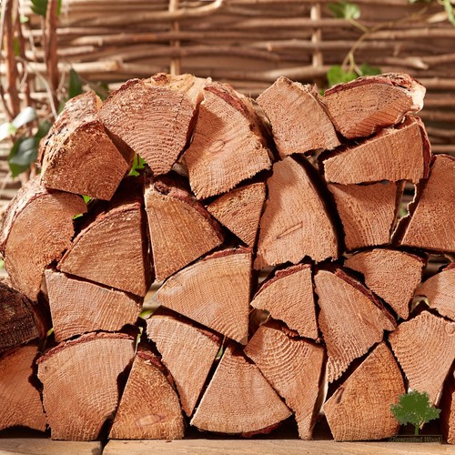 Softwood logs kiln dried - logs,
