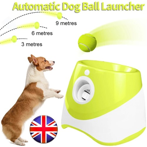 Auto dog ball launcher thrower - dog,