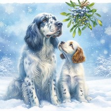 Single Luxury English Setter Christmas Card Dog Gift/Present XMP