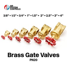 Brass Gate Valve PN20 BSP