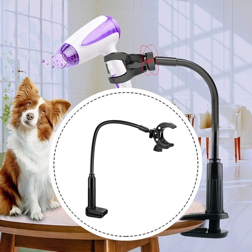 Dog hair dryer stand blow - dog,