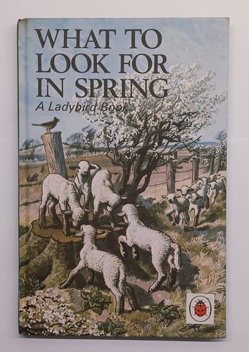 Vintage ladybird book what - vintage,