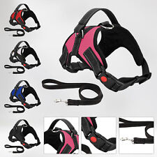 Dog Harness For Small Medium