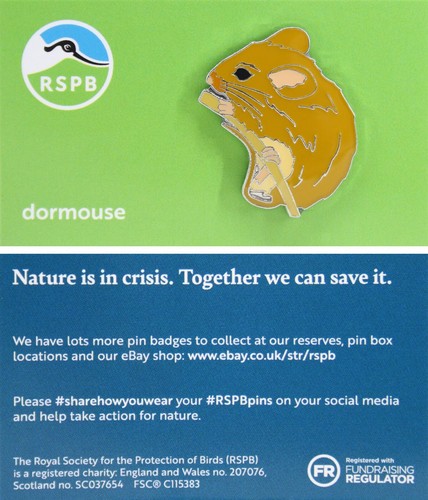 Rspb pin badge niic dormouse - niic,