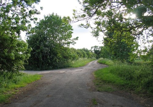 Photo 6x4 pinfold lane - photo,