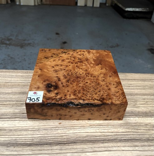 Thuya burr 8 x 2 - x, 2”