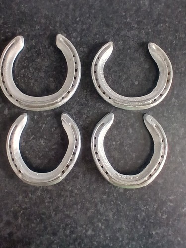 Used aluminium racehorse - 4,