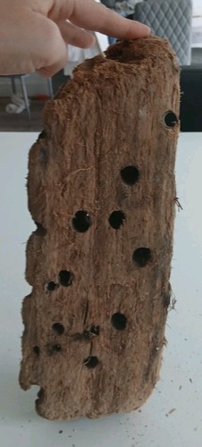 Flat driftwood piece shrimp - driftwood,