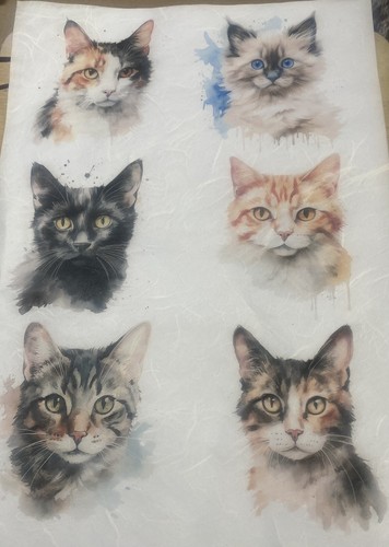 Rice paper decoupage cats - rice,