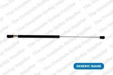 Boot/cargo Area Gas Spring