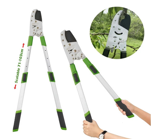 Ratchet tree anvil lopper - ratchet,