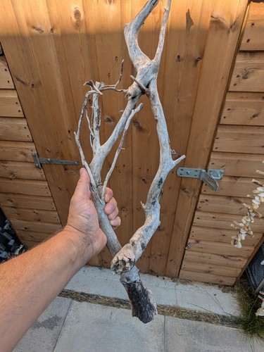 Interesting piece of - interesting,