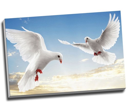 White doves canvas print wall - white,