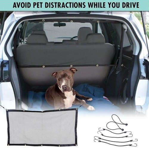 Pets dog car - pets, seat